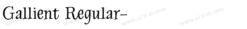 Gallient Regular字体转换